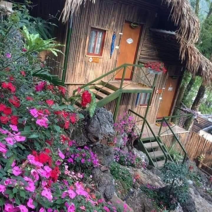 Green Hill Hostel & Tour 河江 外观 照片